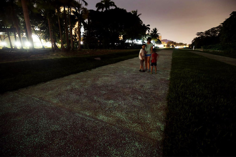 В Сингапуре тестируют светящиеся в темноте аллеи и тропинки