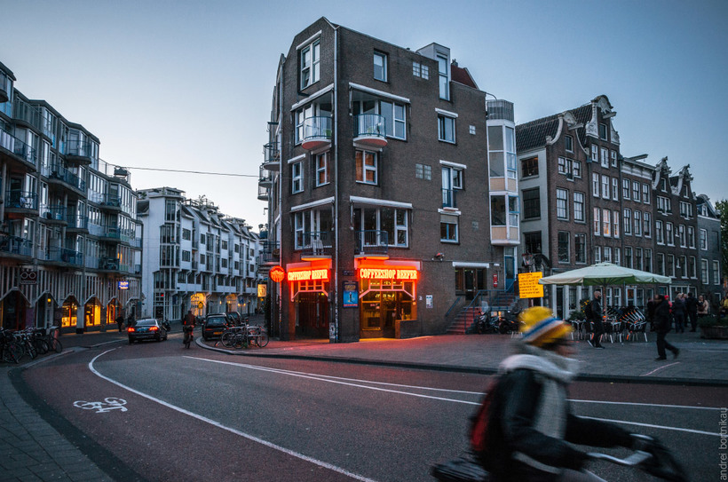 Амстердам: велосипеды, ветряные мельницы, ковры из цветов и прочие интересные факты