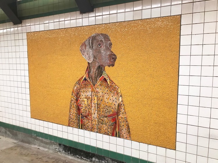 Метро Нью-Йорка украсили крутыми портретами собак, одетых как люди